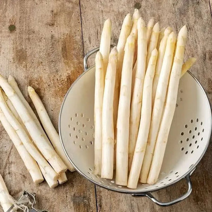 🔥Hot Save🔥-Four Seasons Asparagus Mary Washington Seeds